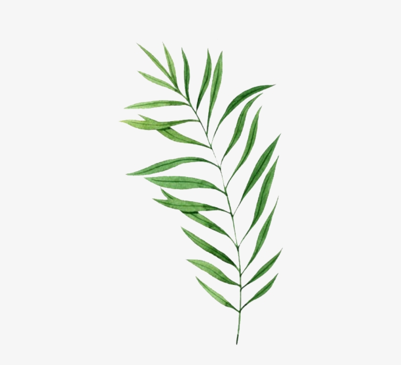 Leaf9 - Illustration, transparent png
