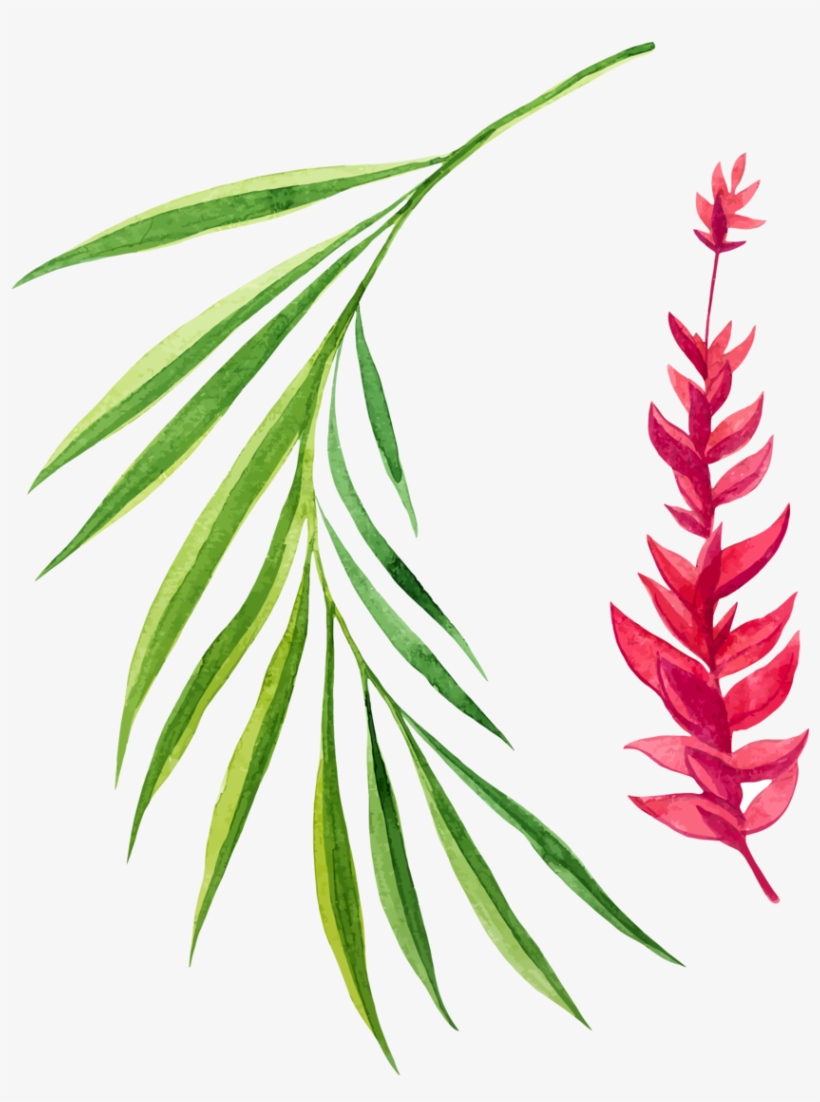 Leaf10 - Stock Illustration, transparent png