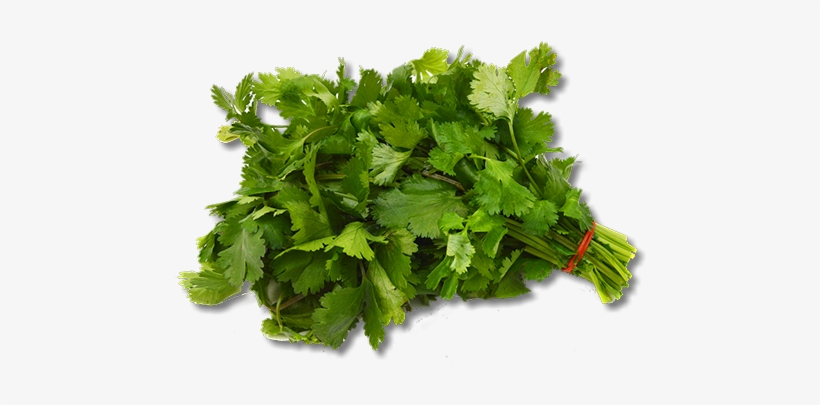 Recipes Provided By H&c Friendly Partners - Spinach Png, transparent png