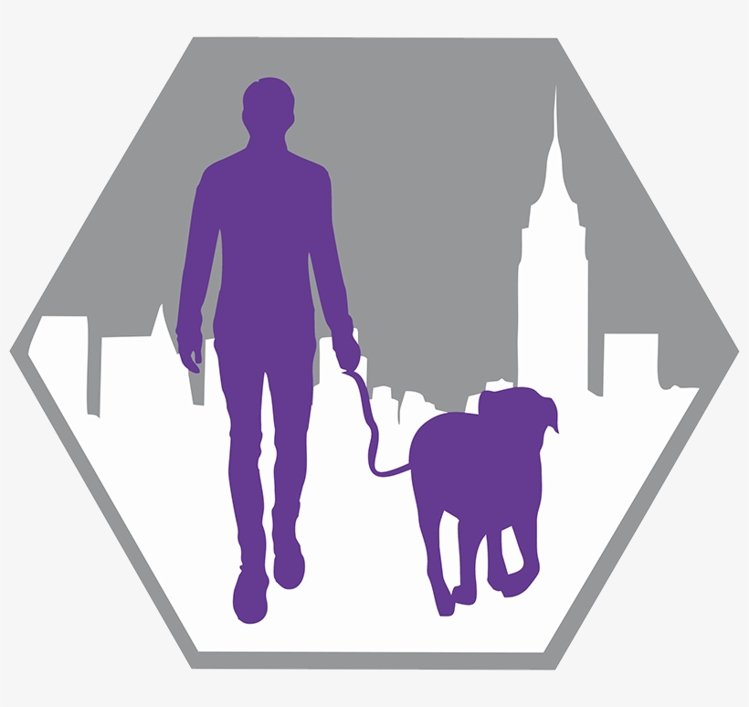 Our People - Dog Walking, transparent png