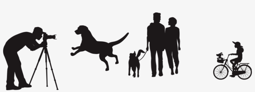 People - Labs Gone Wild - Tile Coaster, transparent png