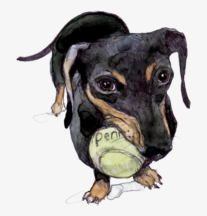 We Cross Over Into North Carolina, The Sun's A Few - Dog Catches Something, transparent png