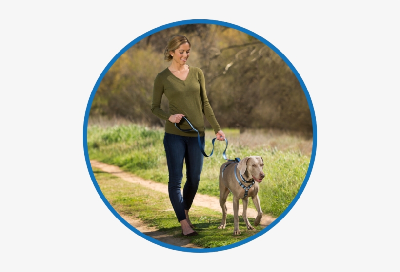 Halti Walking Demo - Company Of Animals Coa-hl034 H, transparent png