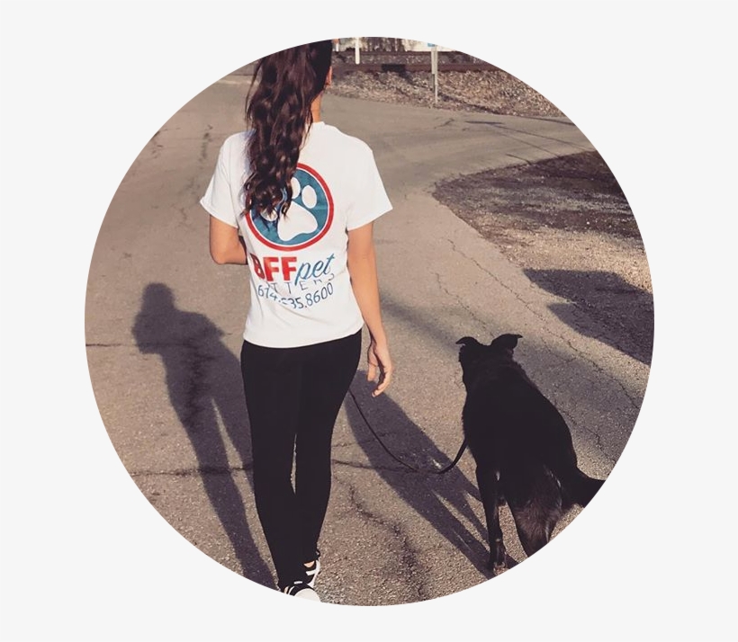 Dog Walking, transparent png