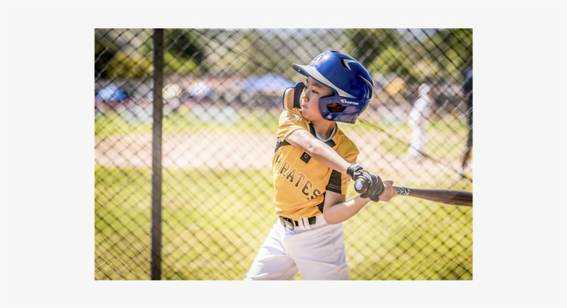 Pirates, transparent png