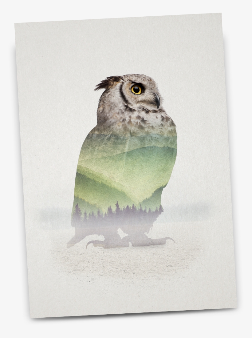 Shop Now - Great Horned Owl, transparent png