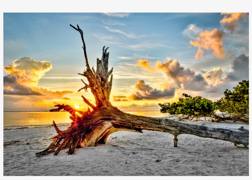 Poster: Goodman's Sanibel Sunrise, 61x41in., transparent png