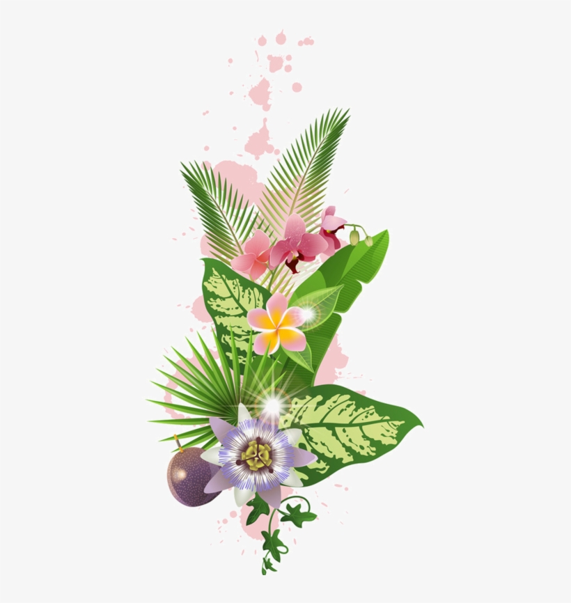Fleurs Flores Flowers Bloemen Png Bc Pinterest - Fleurs Tropicales Png, transparent png
