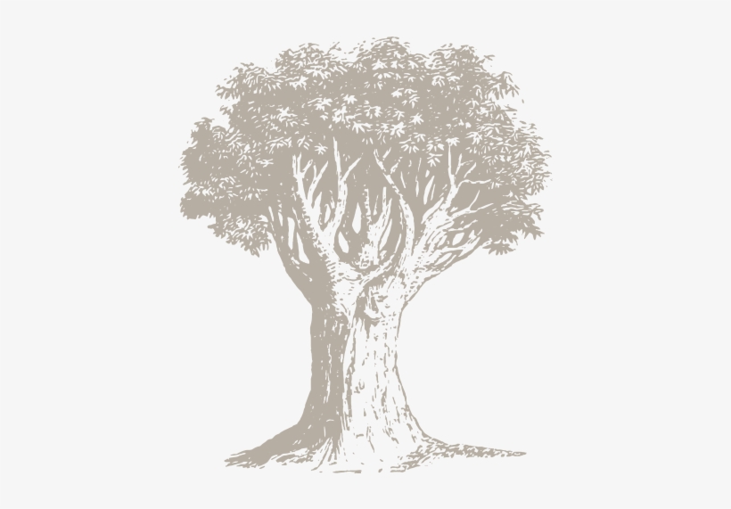 Genealogical Resources - Sketch, transparent png
