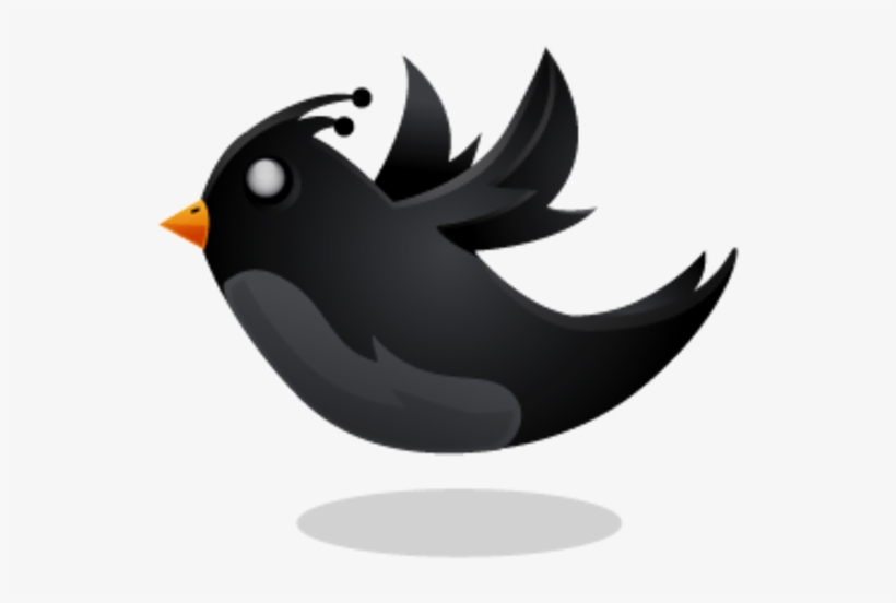 Black Twitter Bird, transparent png