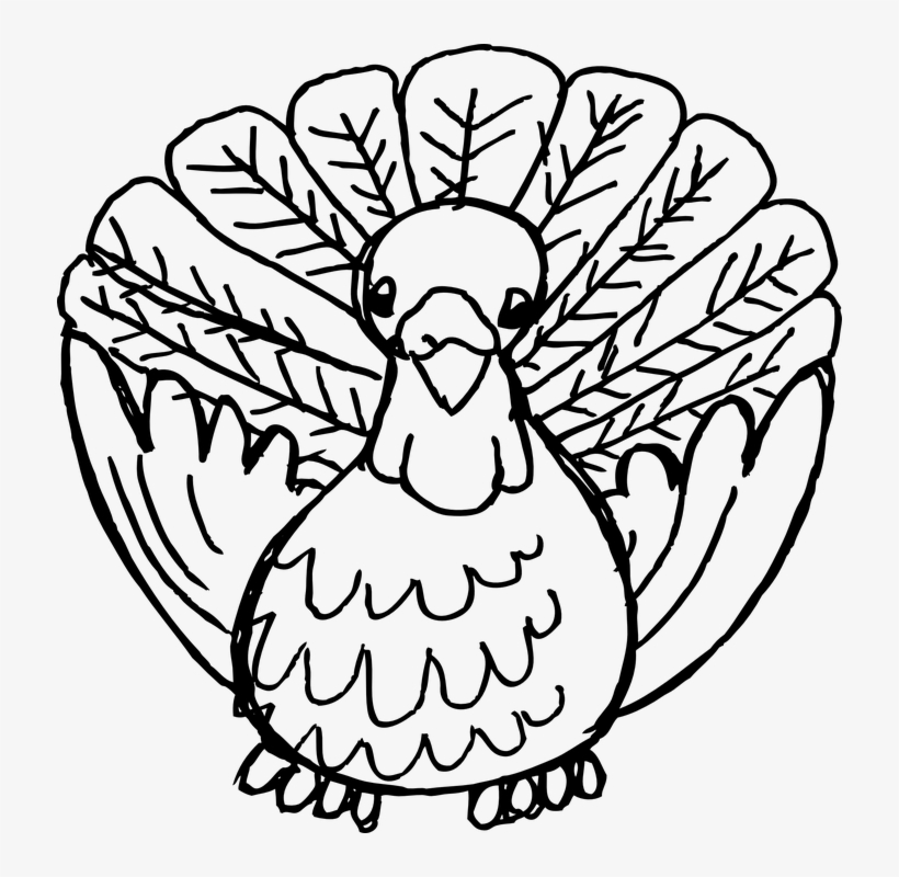 Turkey-160650 960 720 - Clipart Thanksgiving Drawing Black And White, transparent png