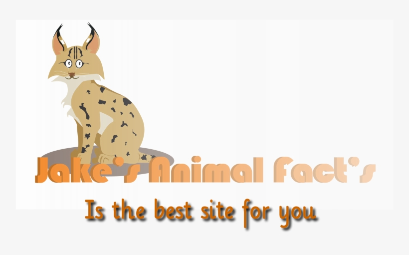 Animal Jam - Illustration, transparent png
