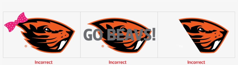 Graphic Design, transparent png