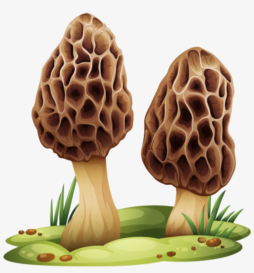 Hocus Pocus Mushroom Kit - Mushroom With Transparent Background, transparent png