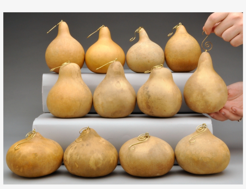 Fancy Hook Craft-ready Gourd Ornaments - Gourd, transparent png