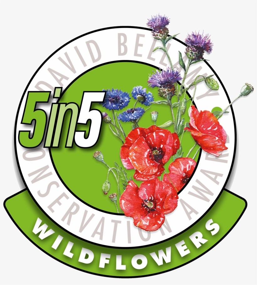 Like Borders Hideaway On Facebook - David Bellamy Award, transparent png