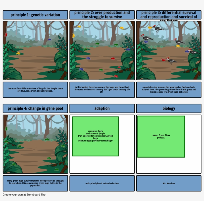 Bug Survival - Lionblaze And Cinderheart Kits, transparent png