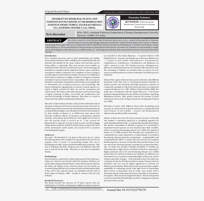 Pdf - Presents From My Aunts, transparent png