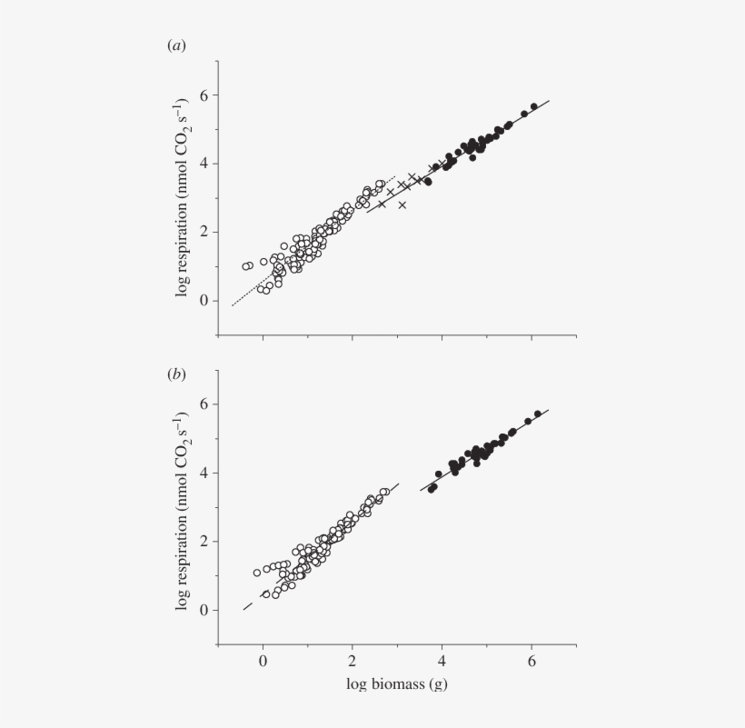 Log Log Bivariate Plots For Respiration Rates Versus - Plot, transparent png