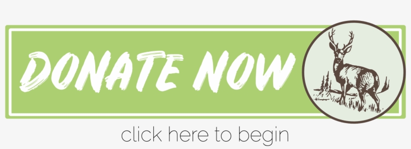 By The Grace Of God, We're In A Period Of Unprecedented - Calligraphy, transparent png