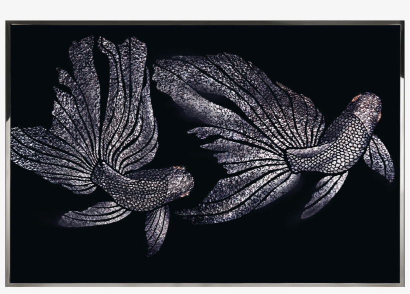 Golden Fish Visionnaire, transparent png