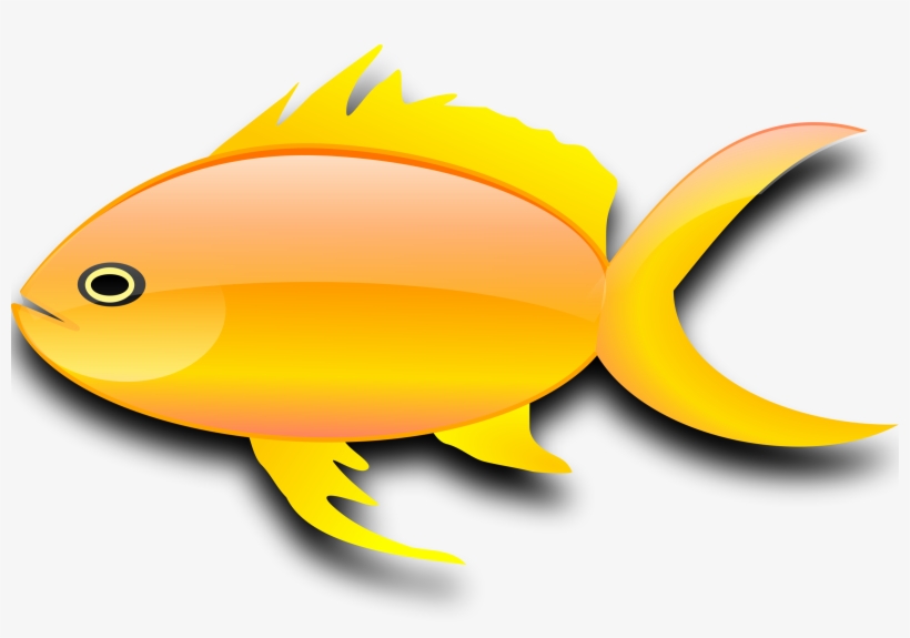 Clip Art Gold Transprent Png Free Download - Gold Fish Clip Art, transparent png