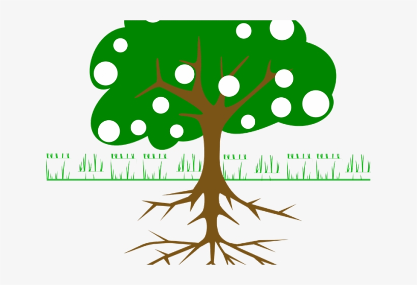 Mango Clipart Root - Tree Clip Art, transparent png