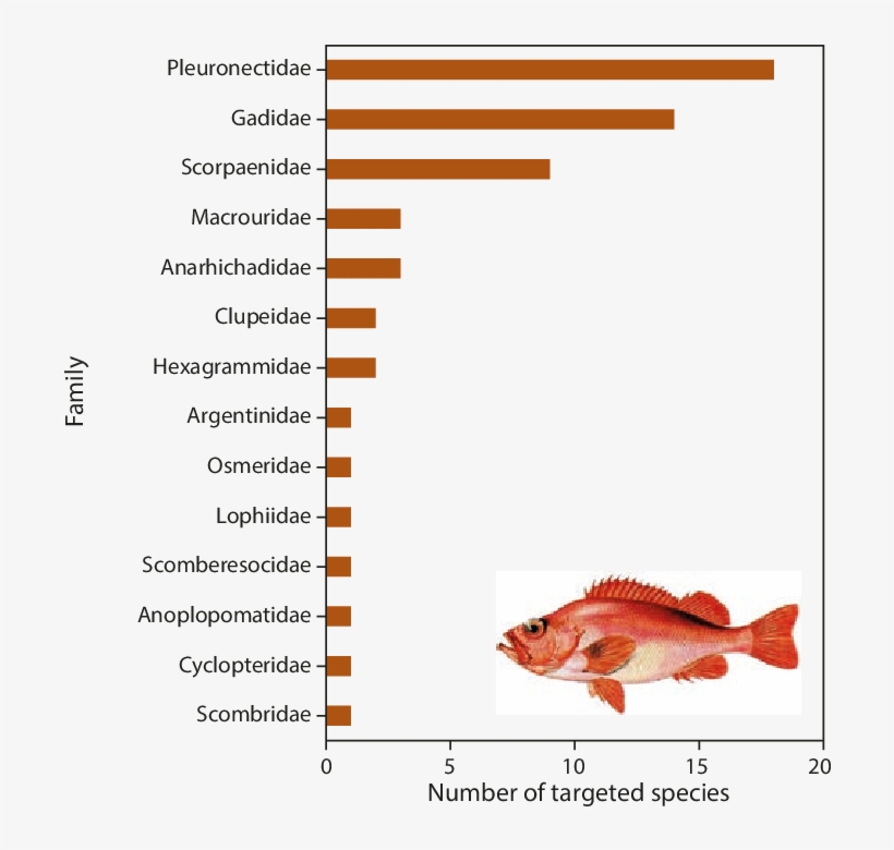 Number Of Commercially Targeted Fish Species By Family - Red Snapper, transparent png