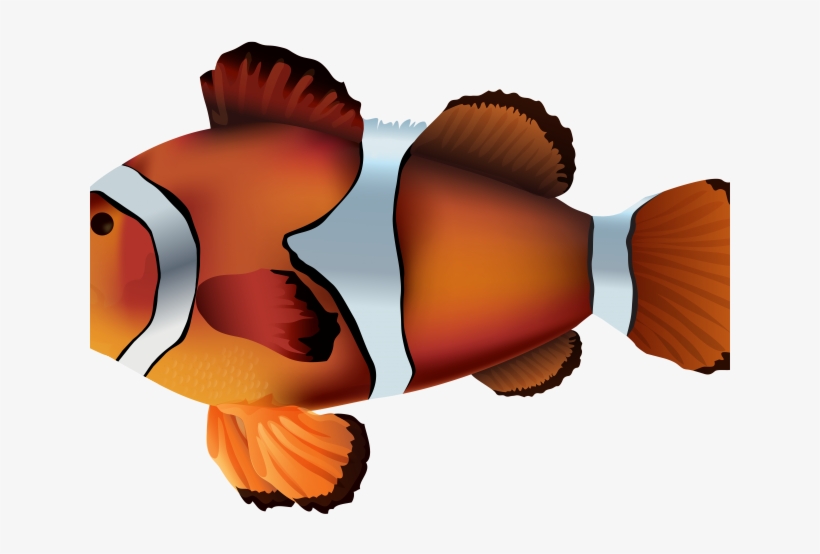 Clownfish Adorable Free On Dumielauxepices Net Onyx - Clown Fish Png, transparent png