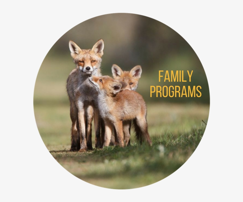 Event & Program Calendar - Happy Animal Family, transparent png