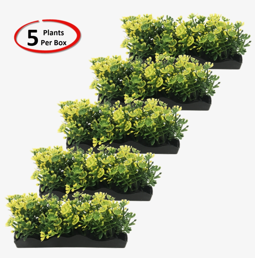 View Larger - Grass, transparent png