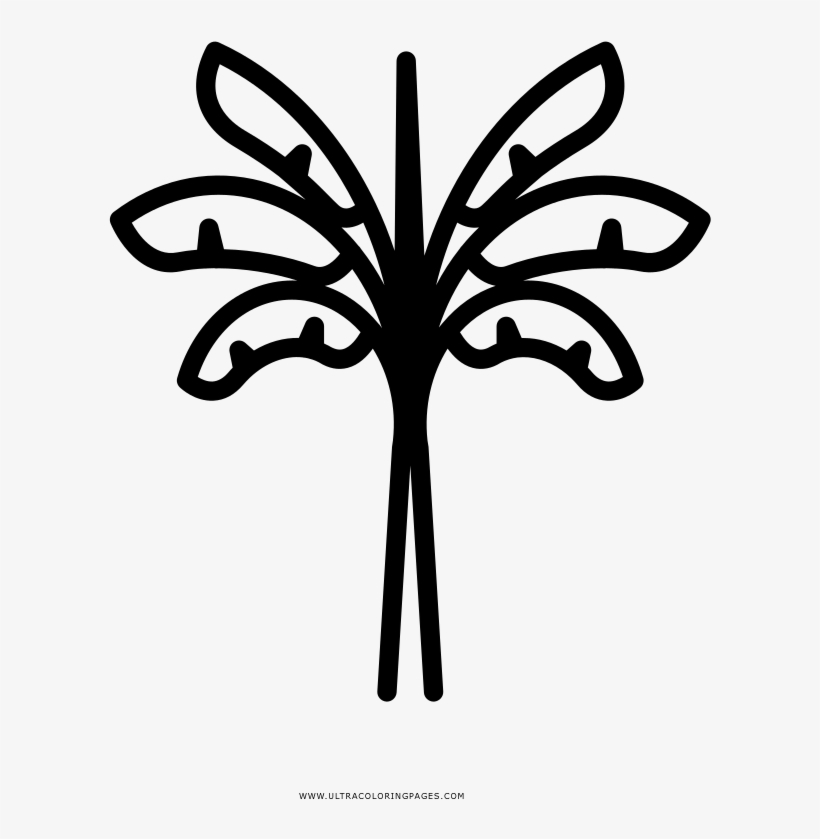Banana Tree Coloring Page - Banana Tree Icon Png, transparent png