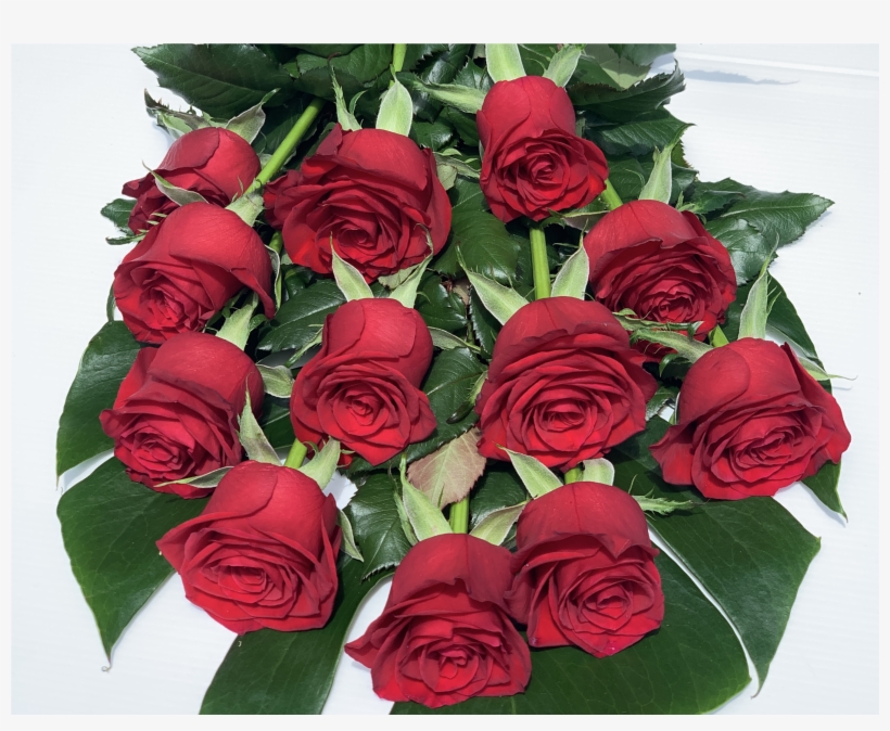 Presentation Valentine's Bouquet - Floribunda, transparent png