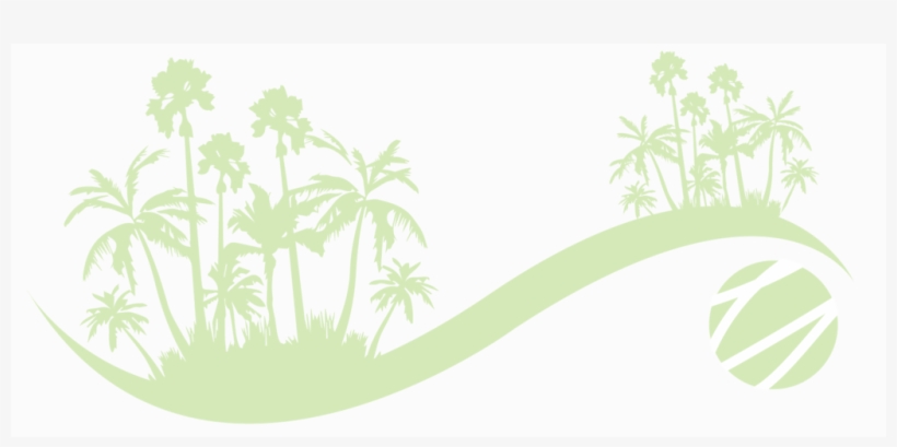 Compare Florida Insurance - Sabal Minor, transparent png