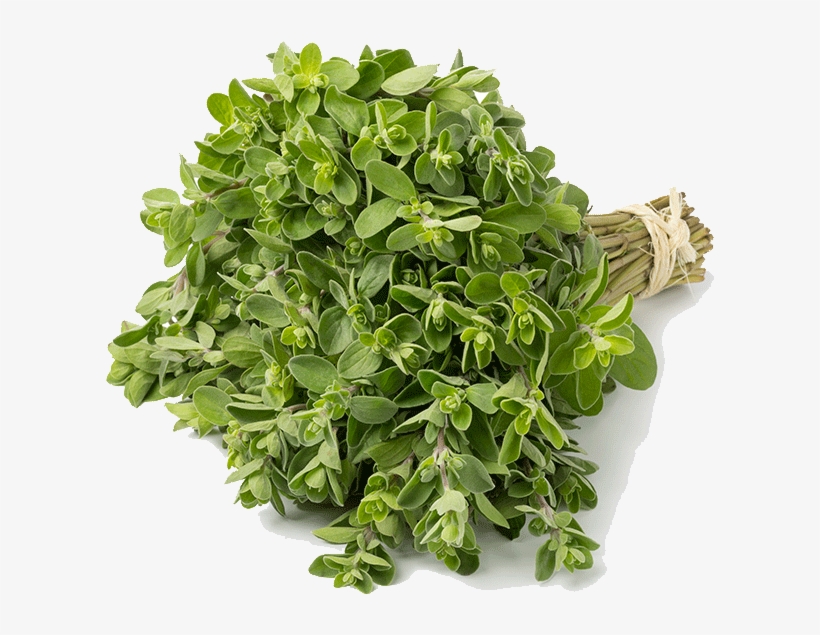 Marjoram - Grass, transparent png