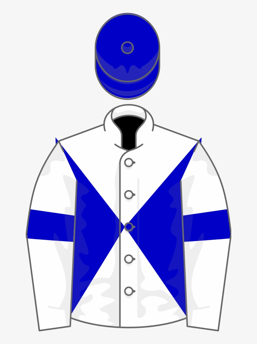 Owner E Pick - Portable Network Graphics, transparent png