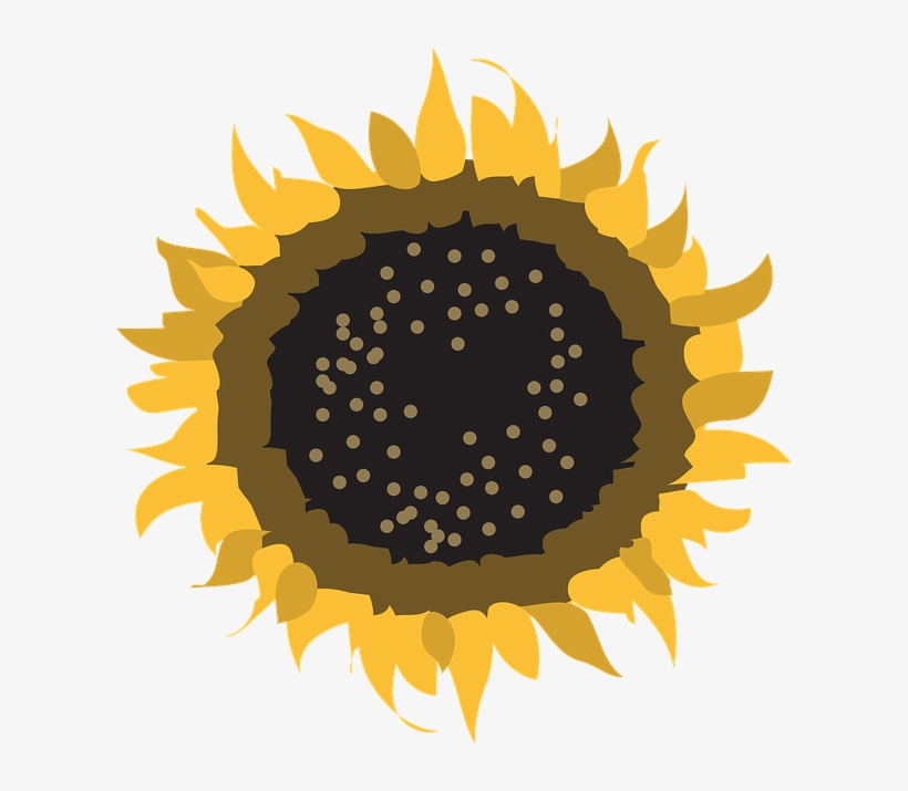 Flower, Symbol, Sun, Nature, Design, Sign, Natural - Vector Graphics, transparent png