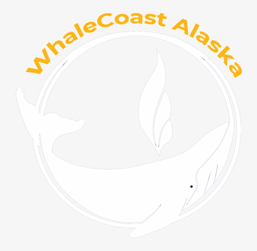 Contact Us - Illustration, transparent png