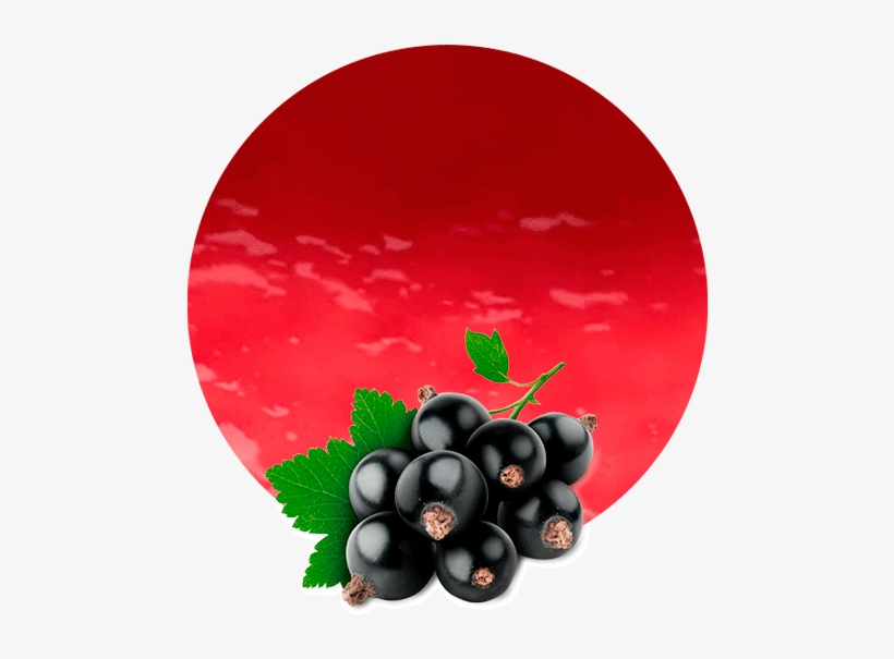 Blackcurrant Pomace - Black Currant Fruit Png, transparent png