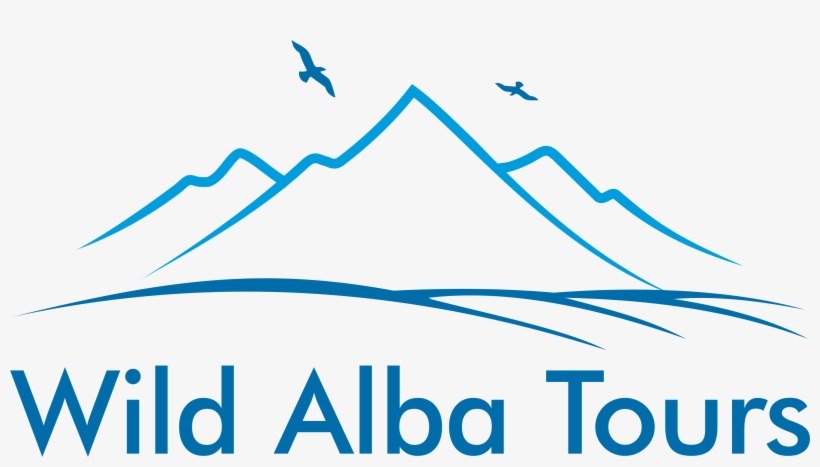 Wild Alba Tours - Free Bird, transparent png