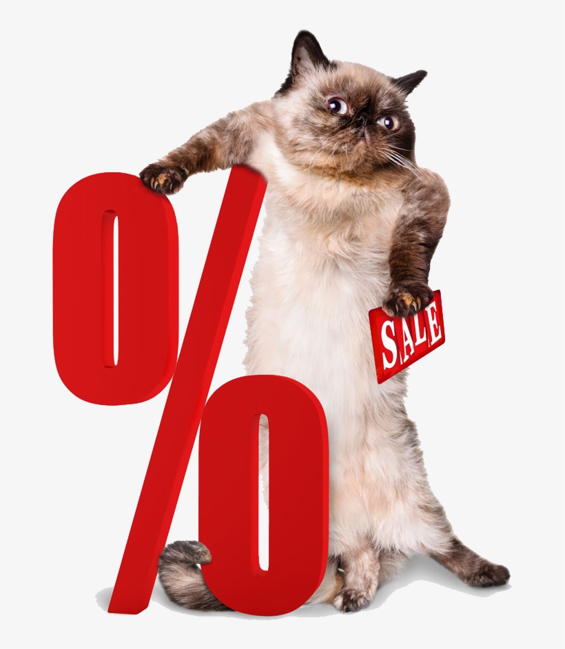 Percentage Png Clipart - Cat With A Suitcase, transparent png