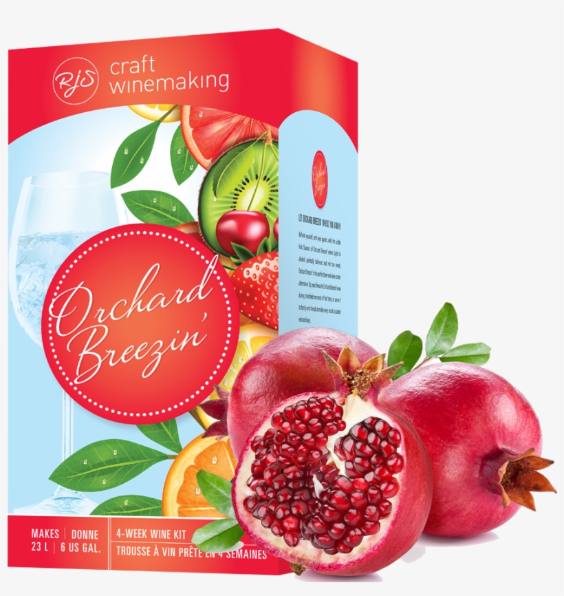 Pomegranate Study, transparent png