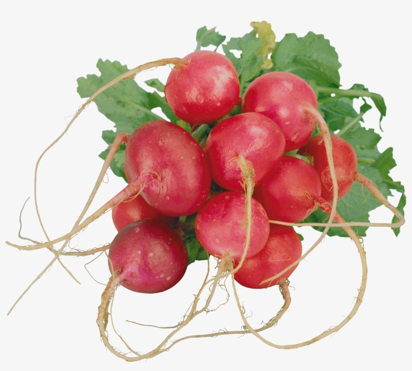Radish Png - Редька На Прозрачном Фоне, transparent png