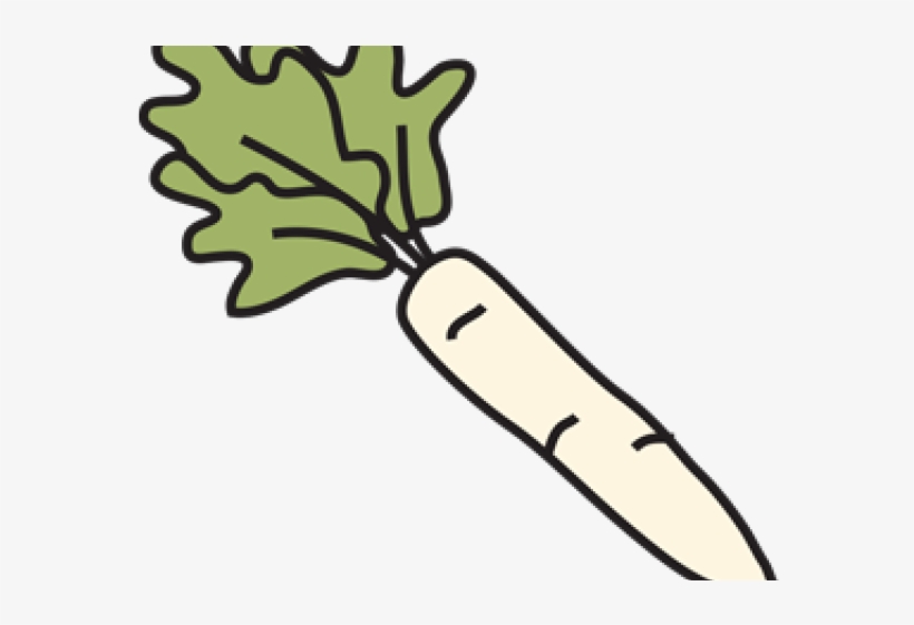 Radish Clipart, transparent png