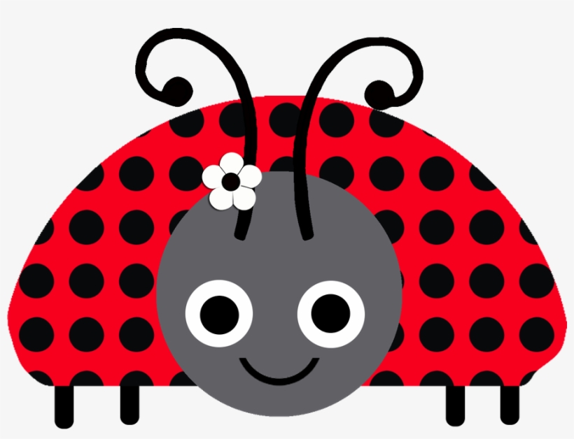 900 X 646 5 - Ladybird Beetle, transparent png