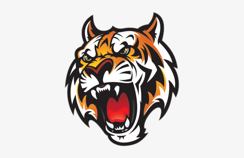 Tiger Head Png - Fleetwood High School Mascot, transparent png
