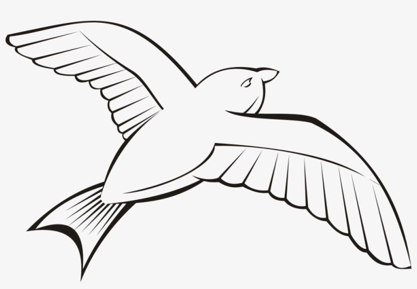 Bird In Flight 6 - Outline Image Of Bird, transparent png