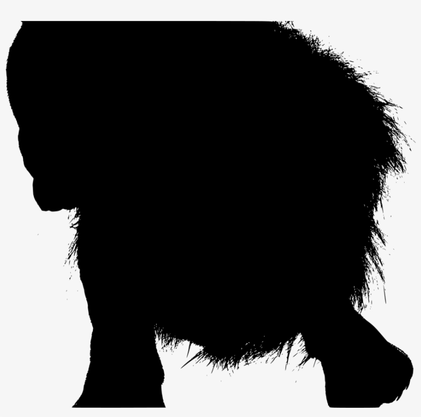 Download Png - Silhouette, transparent png
