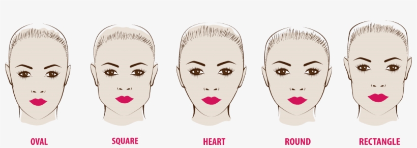 From The Top Of The End Of Your Forehead To The Tip - Round Face Eyebrow Shapes 2018, transparent png