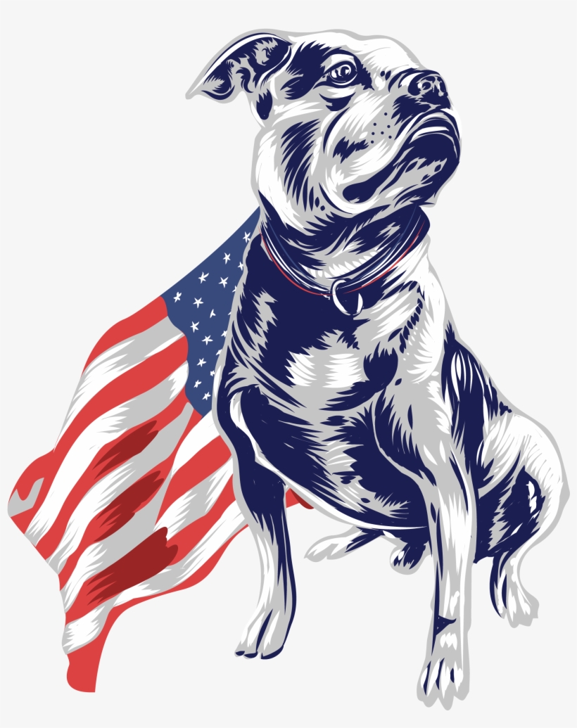 2083 X 2455 1 - Boxer, transparent png